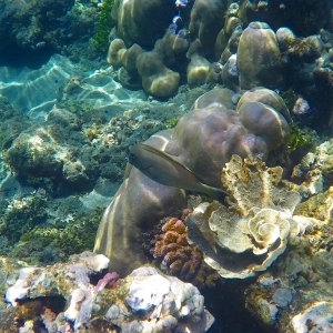 Underwater Lipah beach Bali travel