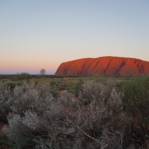 Uluru colours Incredible colours of Uluru