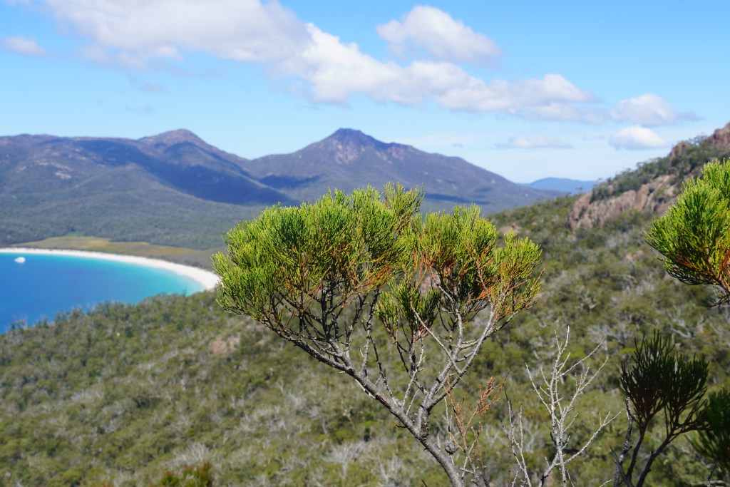 Wineglass Bay, Tasmania