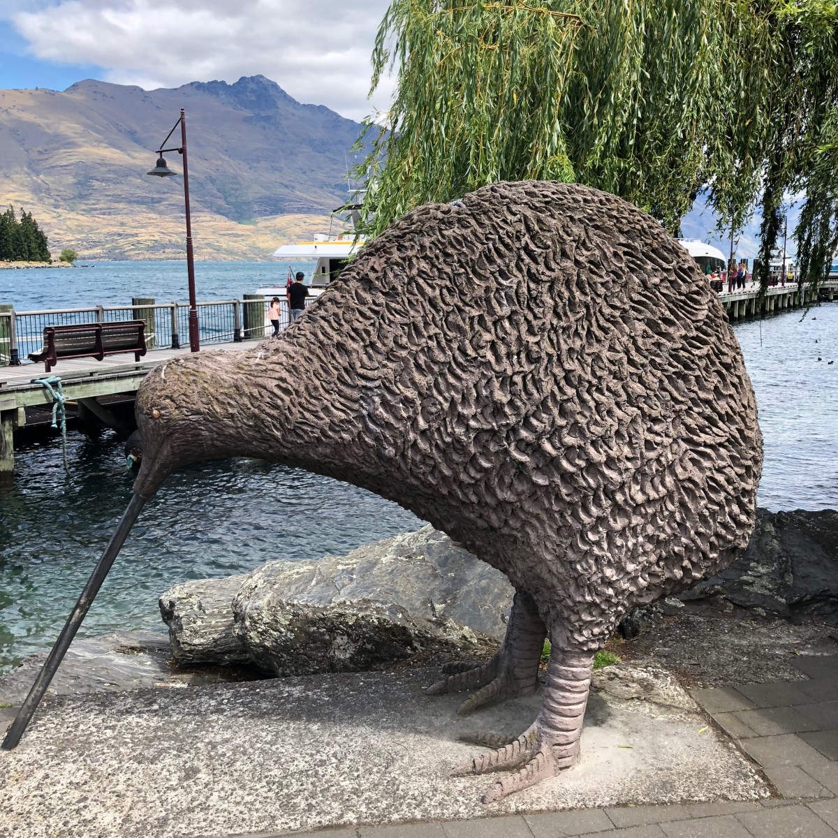 Kiwi Bird in Queenstown