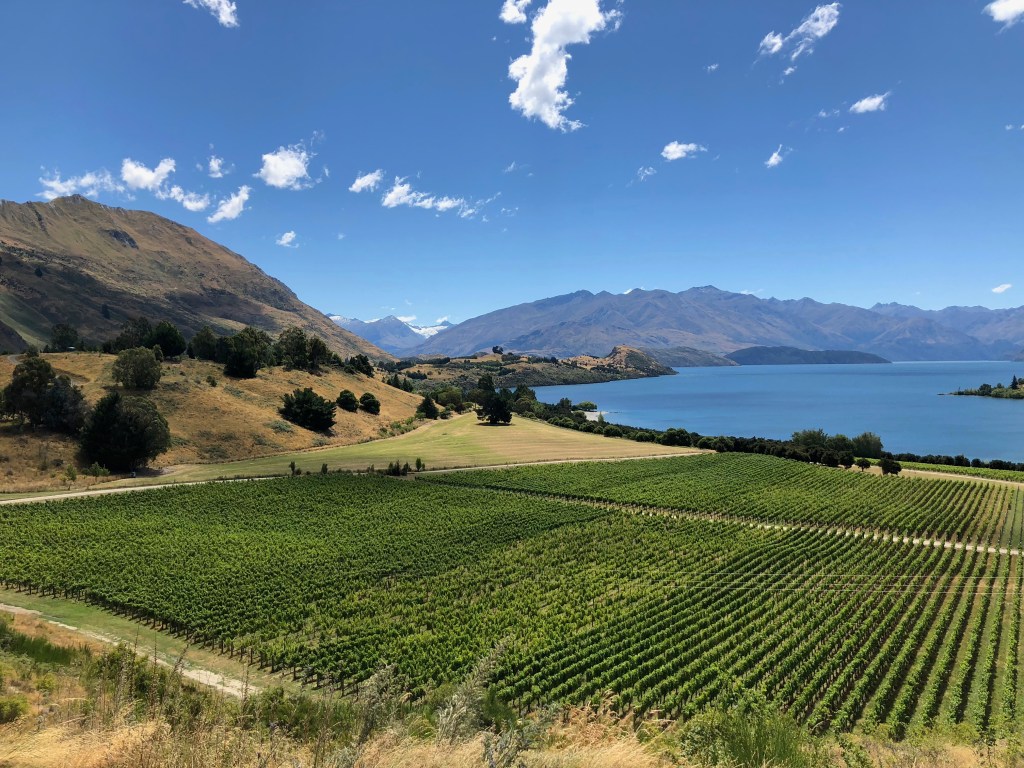Rippon Winery Wanaka