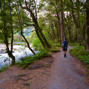 Routeburn falls