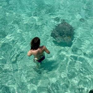Bora Bora day cruise with stingray